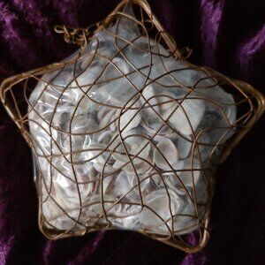 Clear water beach Sea shells in decorative star.